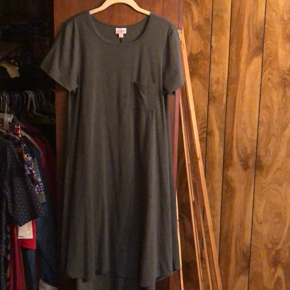 LuLaroe Carly dress